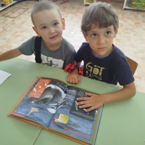 if4TEfk6eAcoejCMlXJC5bNzFGKnthW4hZ_GxYqVAZgJ8yWW98vO6U4HDz0nOlFJYxmKwhKAPR5FH1RdohwwR-Jx