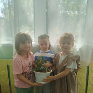 mhvKJahMa1CAqH_riIKAf688ylc12-BmE2VTIUy5cN7aN5tjV_GN3LABv0Ze-NSLoWbuZBIXUc86v7B4vIck9KRY