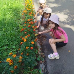 tVY2IoLLHK3NucHvybtriHwRKNVO5bX9pvWIjWGwuV6i9yZaAzlCD4wb6gVnnMnec_vVqok4FVDZazwT7EJm2zD_