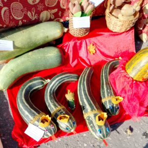 pA_7ikhAhJ8roRCeh4RCcEg15nnv1FU3WjUEjikINgYXXvPs-L3czG7YVQ0Pj4znvhj0YlWeRhPb0rZVUHWLSZi2