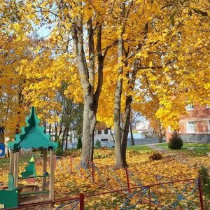 IMG_20251105_104157_336