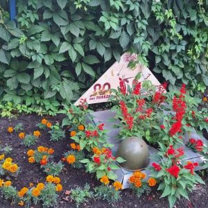 IMG_20251105_104207_127