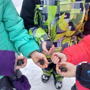 5ILS4SZQWkG72SHtbGTnbf-88Lrkrf4W0SxZCf16W5c3389mRYfYXICwf4j62TpAbWbdxjVpOTpoZ-I-Pzcg8OdX