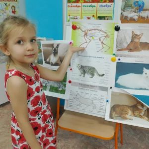 a87xYOefvVkfJuM2Bvq6D-8LdwcTrtOCrnwrNO34n2dZGsIkyqjnsnTCGXDeKMrtbLjrH39tr-sJqV3EvvtLZYed